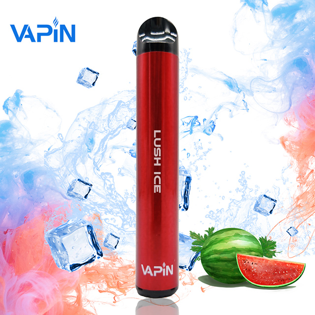 Best 600 Puffs Disposable Vape Pen with 10 Flavors Electronic Cigarette